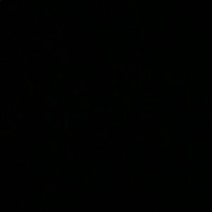 Meet your Posher, Zoe